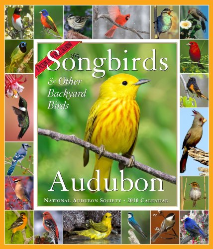 9781579653873: Audubon 365 Songbirds and Other Backyard Birds Calendar