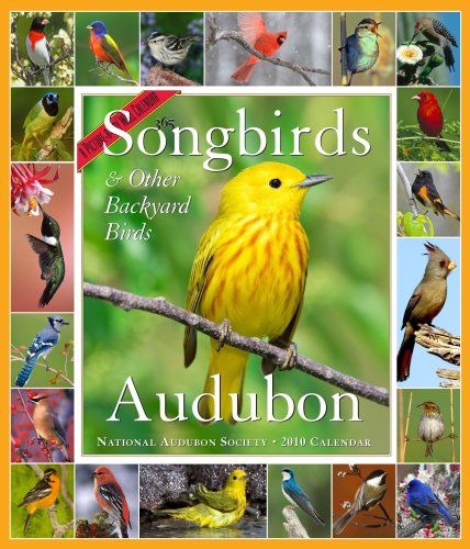 9781579653873: Audubon 365 Songbirds 2010 Calendar: & Other Backyard Birds