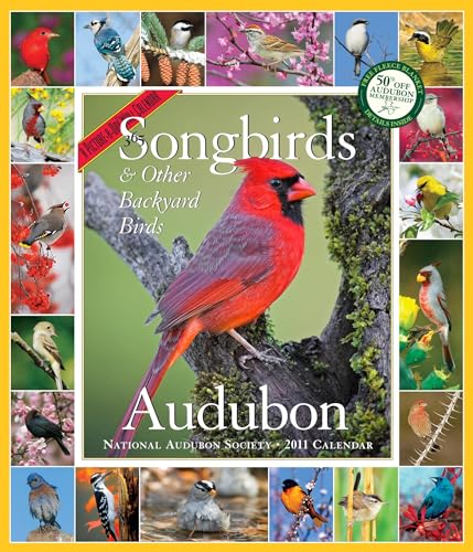 9781579654214: Audubon 365 Songbirds and Other Backyard Birds Calendar 2011