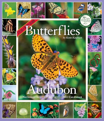 Audubon 365 Butterflies Calendar 2011 (9781579654245) by Kaufman, Kenn