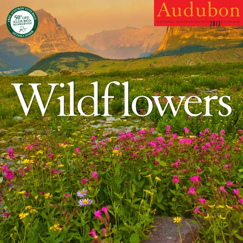 9781579654863: Audubon Wildflowers Calendar 2013