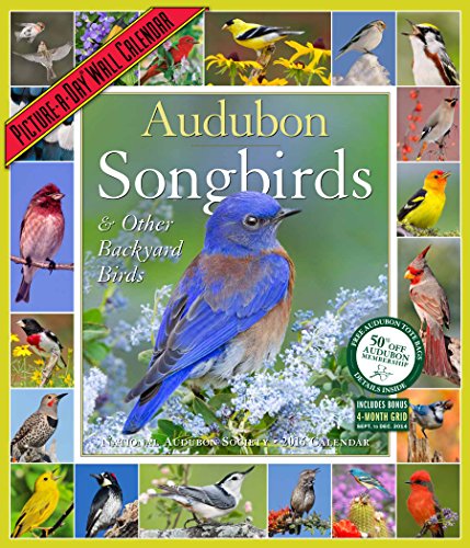 9781579656348: Audubon Songbirds & Other Backyard Birds Picture-A-Day Wall Calendar 2016