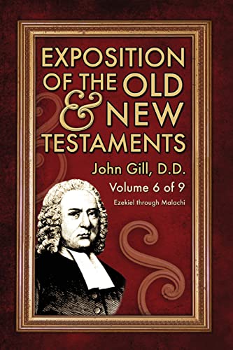 Stock image for Exposition of the Old & New Testaments - Vol. 6 for sale by GreatBookPrices