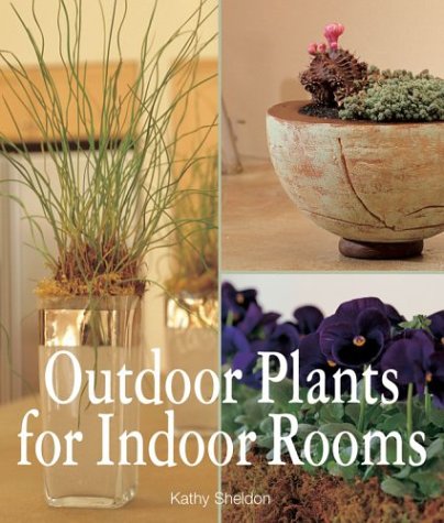 9781579903893: Outdoor Plants for Indoor Rooms
