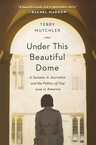 Imagen de archivo de Under This Beautiful Dome: A Senator, A Journalist, and the Politics of Gay Love in America a la venta por BooksRun