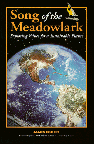 Stock image for Song of the Meadowlark : Exploring Values for a Sustainable Future for sale by Better World Books: West