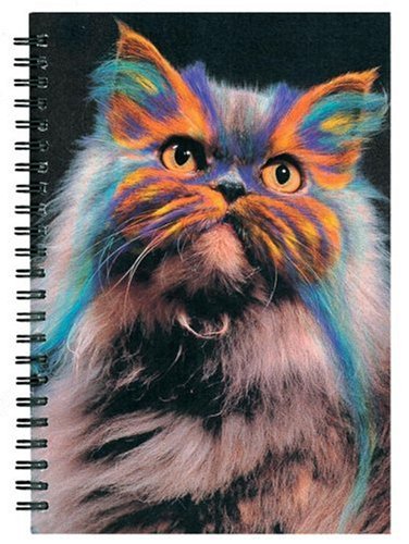 Famous Painted Cats Journal (9781580086448) by Silver, Burton; Busch, Heather