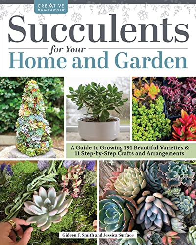 Stock image for Succulents for Your Home and Garden: A Guide to Growing 191 Beautiful Varieties 11 Step-by-Step Crafts and Arrangements (Creative Homeowner) Gardening, Crafting, and Plant Care for sale by Red's Corner LLC