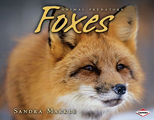 Beispielbild fr Foxes zum Verkauf von Better World Books