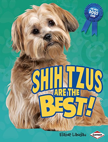 Imagen de archivo de Shih Tzus Are the Best! (The Best Dogs Ever) a la venta por Ergodebooks