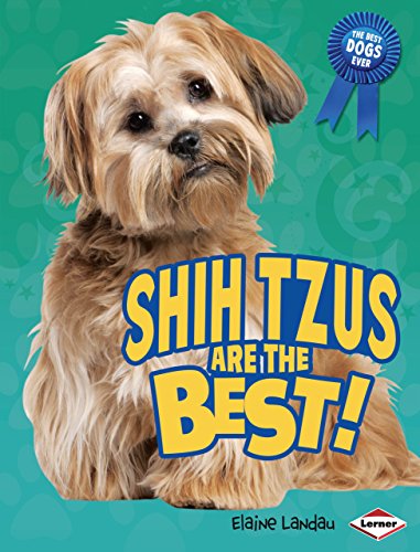 Stock image for Shih Tzus Are the Best! (The Best Dogs Ever) for sale by Ergodebooks