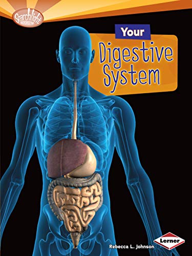 Imagen de archivo de Your Digestive System (Searchlight Books (TM) -- How Does Your Body Work?) a la venta por SecondSale