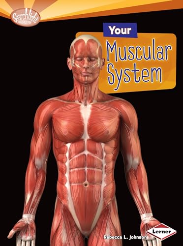 9781580139618: Your Muscular System (How Does Your Body Work Searchlight Books)