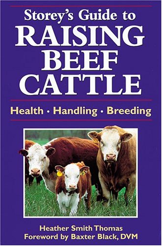 9781580170376: A Guide to Raising Beef Cattle