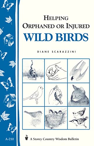 9781580172318: Helping Orphaned or Injured Wild Birds: Storey's Country Wisdom Bulletin A-210 (Storey Country Wisdom Bulletin)