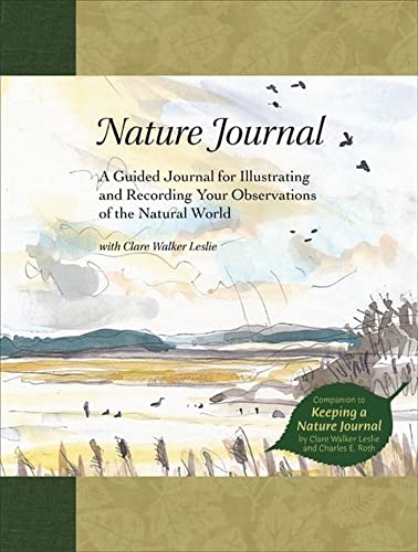 Imagen de archivo de Nature Journal: A Guided Journal for Illustrating and Recording Your Observations of the Natural World a la venta por Bearly Read Books