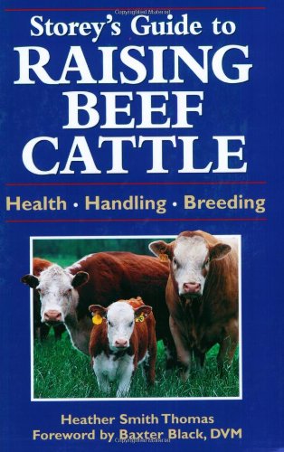 Imagen de archivo de Storeys Guide to Raising Beef Cattle: Health, Handling, Breeding a la venta por Goodwill Books