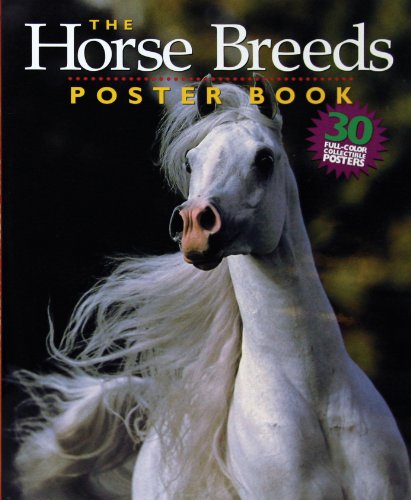 Stock image for The Horse Breeds Poster Book for sale by The Yard Sale Store