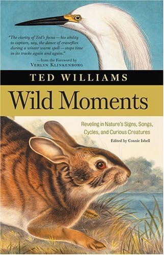 WILD MOMENTS; REVELING IN NATURE'S SIGNS, SONGS, CYCLES, AND CURIOUS CREATURES