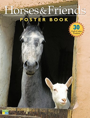 Stock image for Horses and Friends Poster Book for sale by Better World Books: West