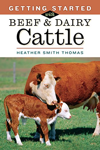 Imagen de archivo de Getting Started with Beef & Dairy Cattle a la venta por Reliant Bookstore