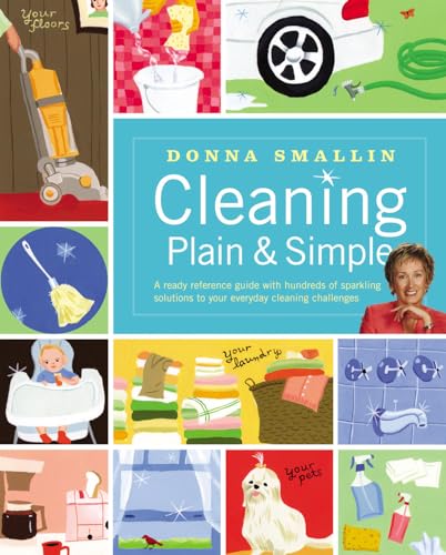 9781580176071: Cleaning Plain and Simple