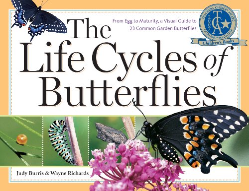 Beispielbild fr The Life Cycles of Butterflies: From Egg to Maturity, a Visual Guide to 23 Common Garden Butterflies zum Verkauf von Wonder Book