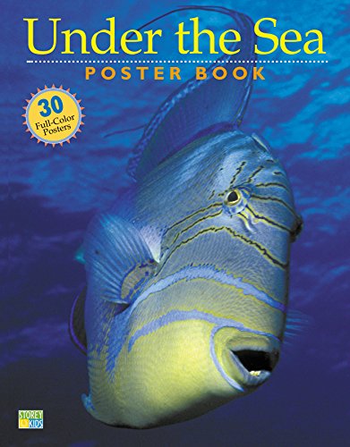 Stock image for Under the Sea Poster Book for sale by Gulf Coast Books