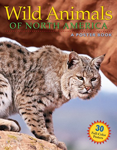 Beispielbild fr Wild Animals of North America: A Poster Book zum Verkauf von ThriftBooks-Atlanta