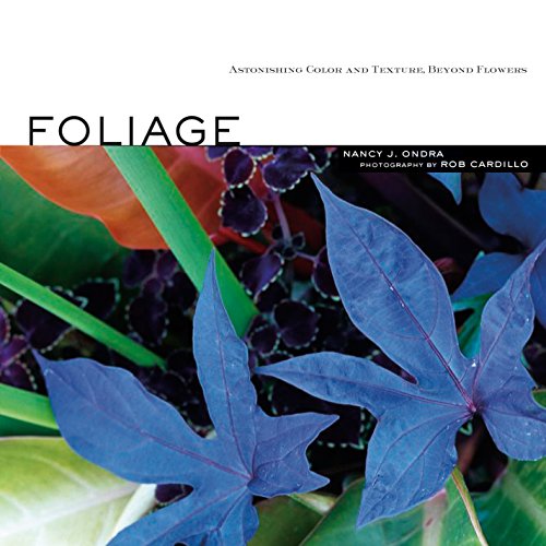 9781580176484: Foliage: Astonishing Color and Texture Beyond Flowers