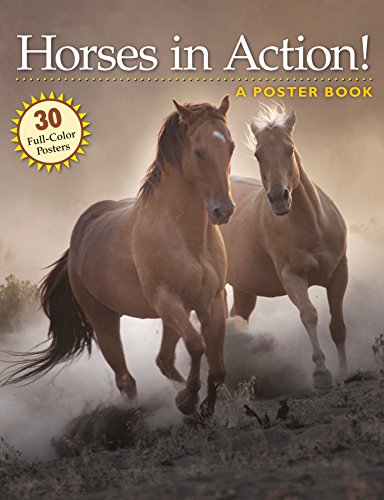 Stock image for Horses in Action!: A Poster Book for sale by OwlsBooks