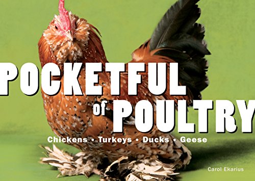 9781580176774: Pocketful of Poultry: Chickens, Ducks, Geese, Turkeys