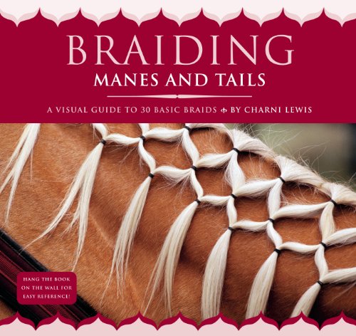 Stock image for Braiding Manes and Tails: A Visual Guide to 30 Basic Braids for sale by Ergodebooks