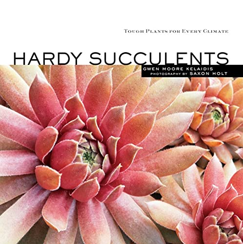 9781580177009: Hardy Succulents: Tough Plants for Every Climate