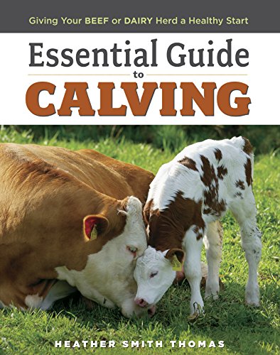 9781580177061: Essential Guide to Calving: Giving Your Beef or Dairy Herd a Healthy Start