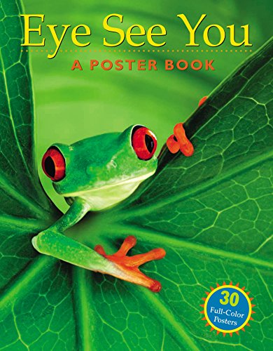 Stock image for Eye See You: A Poster Book for sale by Persephone's Books