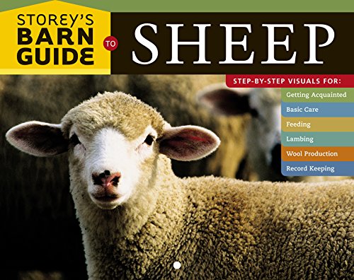 Stock image for Storey's Barn Guide to Sheep for sale by Stillwaters Environmental Ctr of the Great Peninsula Conservancy