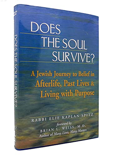 9781580230940: Does the Soul Survive: A Jewish Journey to Belief in Afterlife Past Lives and Living with Purpose