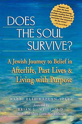 Beispielbild fr Does the Soul Survive?: A Jewish Journey to Belief in Afterlife, Past Lives & Living with Purpose zum Verkauf von SecondSale