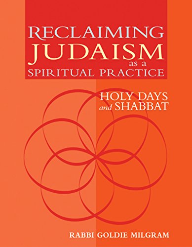 Imagen de archivo de Reclaiming Judaism as a Spiritual Practice: Holy Days and Shabbat a la venta por SecondSale