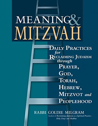 Imagen de archivo de Meaning Mitzvah: Daily Practices for Reclaiming Judaism through Prayer, God, Torah, Hebrew, Mitzvot and Peoplehood a la venta por Goodwill of Colorado