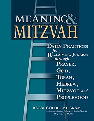 Stock image for Meaning Mitzvah: Daily Practices for Reclaiming Judaism through Prayer, God, Torah, Hebrew, Mitzvot and Peoplehood for sale by gwdetroit