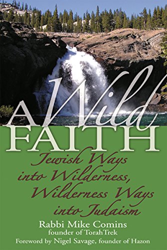 Stock image for A Wild Faith: Jewish Ways into Wilderness, Wilderness Ways into Judaism for sale by BookFarm