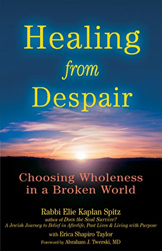 Imagen de archivo de Healing from Despair: Choosing Wholeness in a Broken World a la venta por Ergodebooks