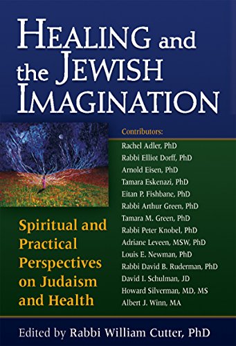 Imagen de archivo de Healing and the Jewish Imagination: Spiritual and Practical Perspectives on Judaism and Health a la venta por ThriftBooks-Atlanta
