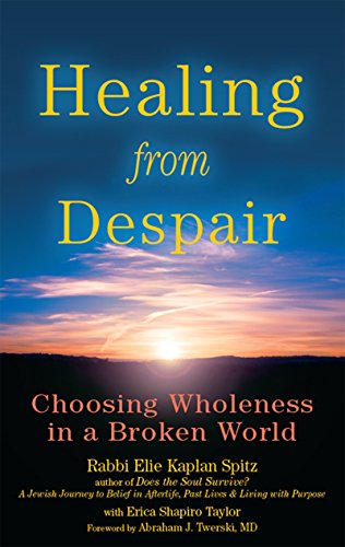 Imagen de archivo de Healing from Despair: Choosing Wholeness in a Broken World a la venta por Revaluation Books