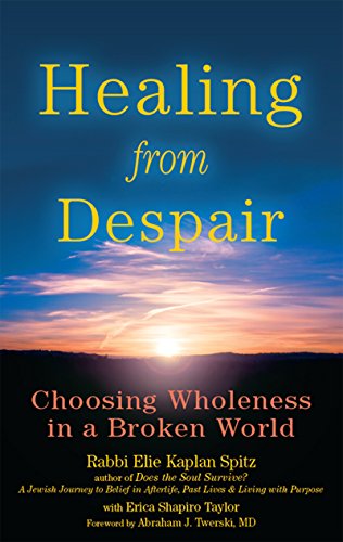 Stock image for Healing from Despair for sale by Blackwell's