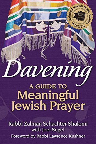 Imagen de archivo de Davening: A Guide to Meaningful Jewish Prayer a la venta por HPB-Emerald