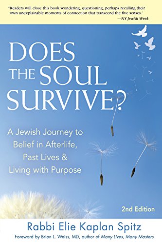 

Does the Soul Survive (2nd Edition): A Jewish Journey to Belief in Afterlife, Past Lives & Living with Purpose (Edition, New) Format: Paperback