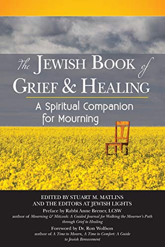 9781580238526: The Jewish Book of Grief and Healing: A Spiritual Companion for Mourning